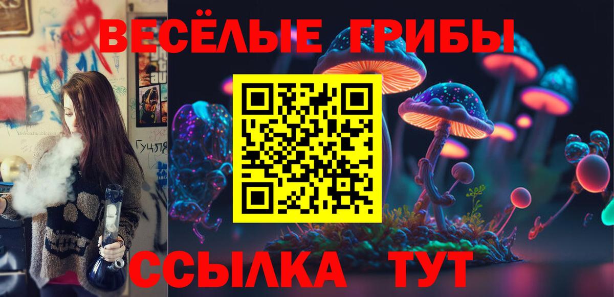 Галлюциногенные грибы Cubensis  Вход с VPN  Псилоцибиновые грибы мицелий  Каменск-Шахтинский 